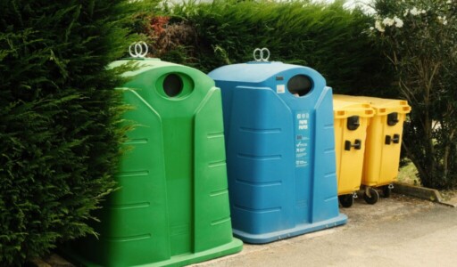 denis wmiaz 3xxkc unsplash