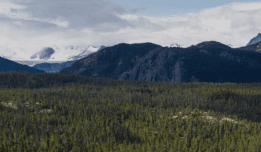 screenshot 2026 03 17 at 12 03 13 pm