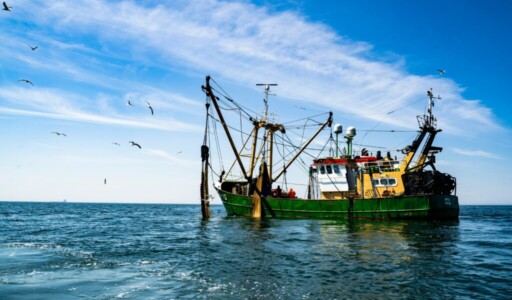 Fishing boat in open water